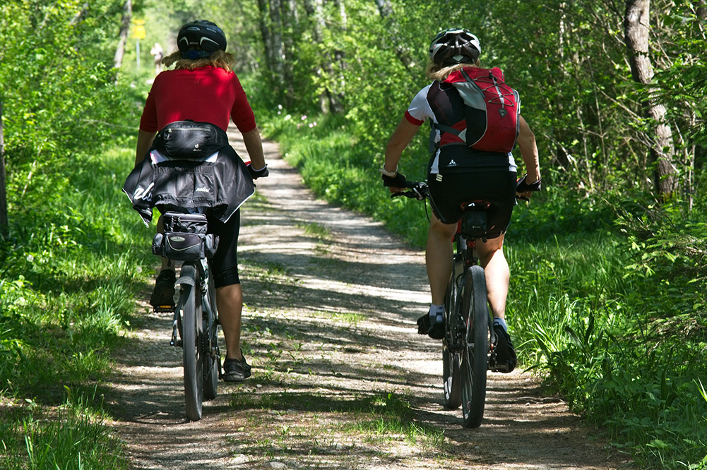 Radfahrer im Wald