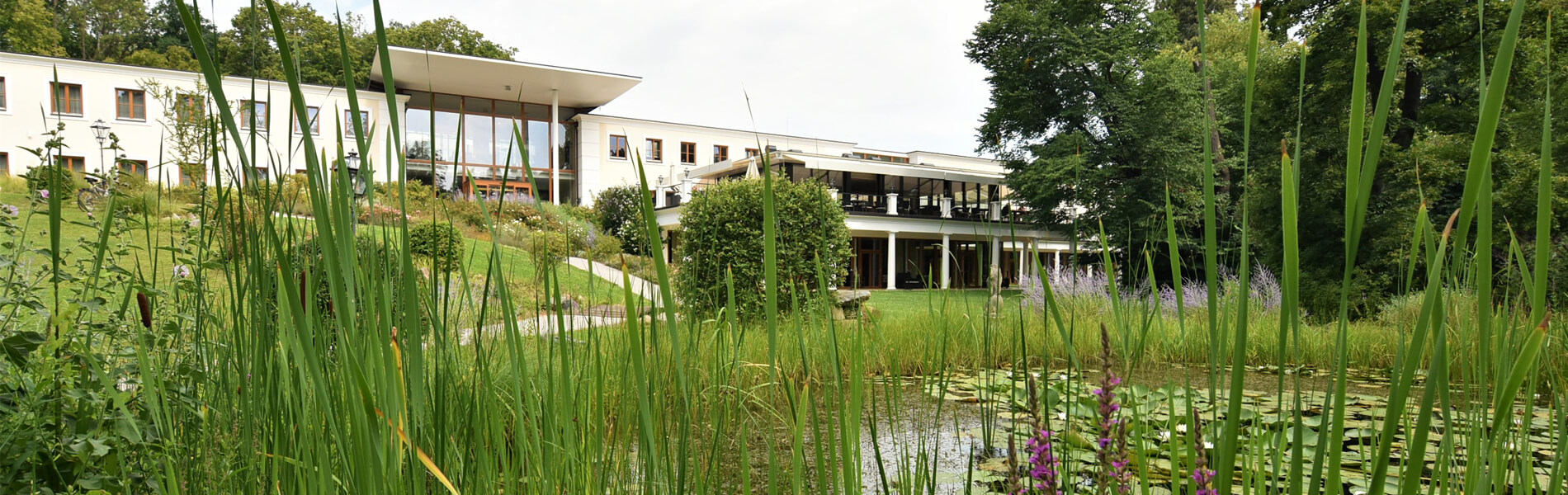 Schlosspark Mauerbach mit Biotop im Vordergrund