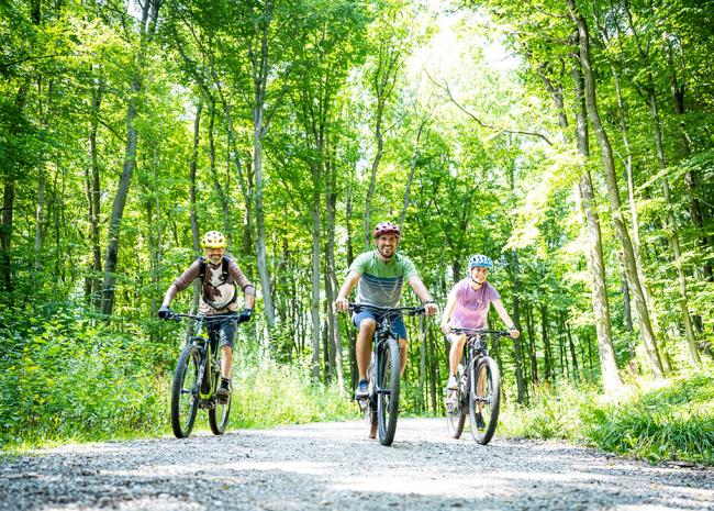 Montainbiker im Wald Montainbiker im Wald