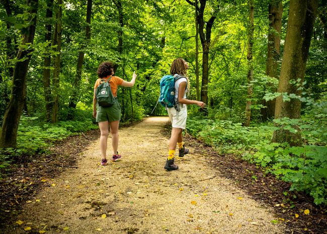 Mädels wandern durch den Wald Mädels wandern durch den Wald
