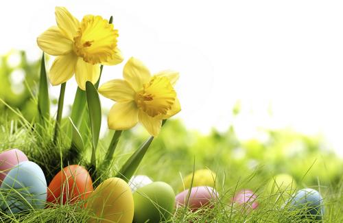 Frühling